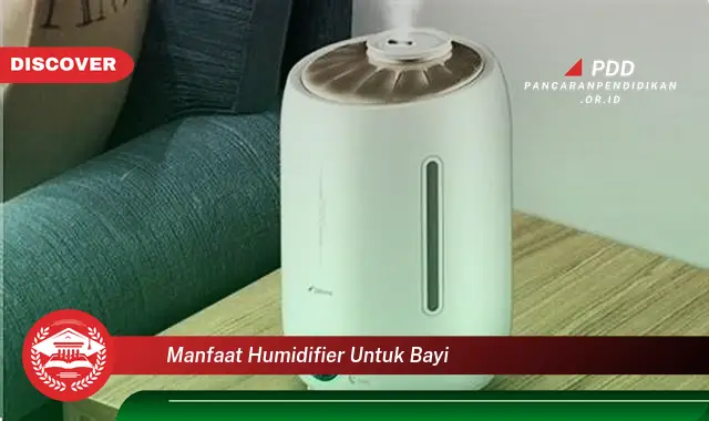 manfaat humidifier untuk bayi