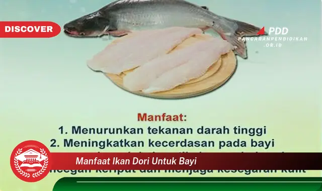 manfaat ikan dori untuk bayi