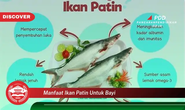 manfaat ikan patin untuk bayi