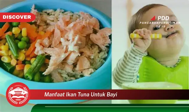 manfaat ikan tuna untuk bayi