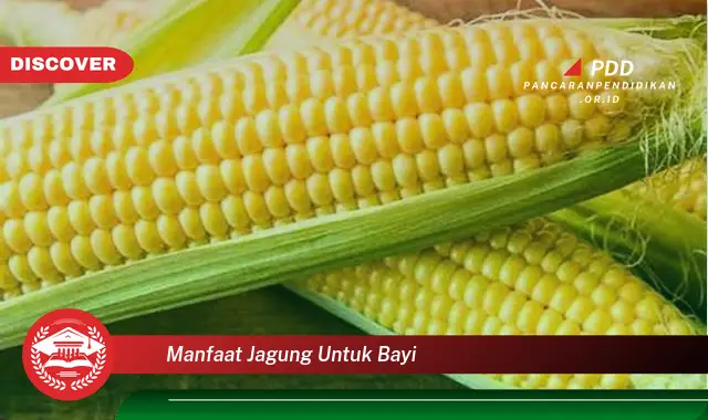 manfaat jagung untuk bayi