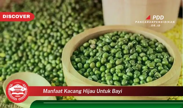 manfaat kacang hijau untuk bayi