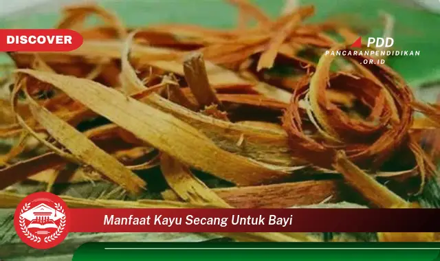 manfaat kayu secang untuk bayi