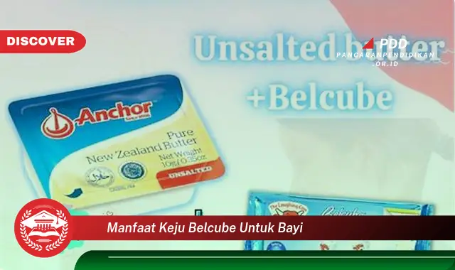 manfaat keju belcube untuk bayi