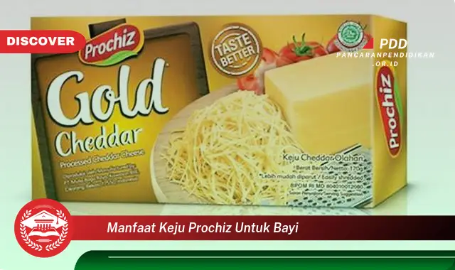 manfaat keju prochiz untuk bayi