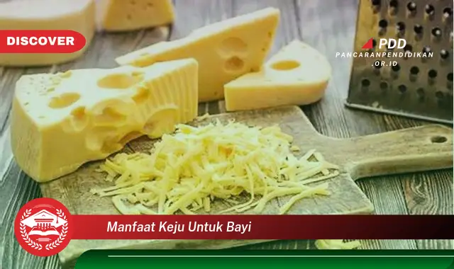 manfaat keju untuk bayi