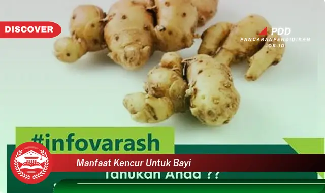 manfaat kencur untuk bayi