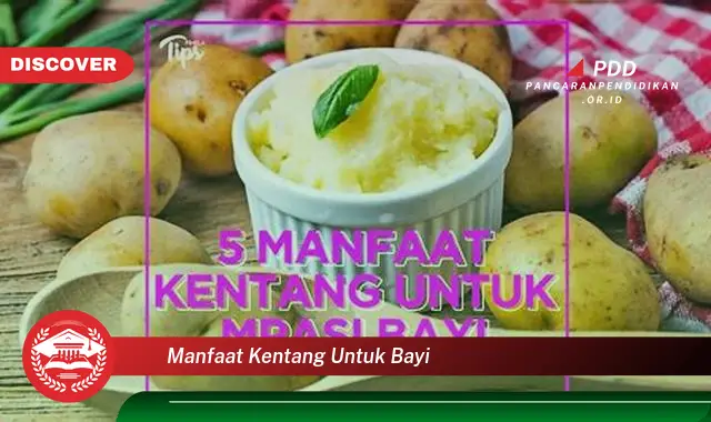 Temukan 10 Manfaat Kentang untuk Bayi yang Bikin Kamu Penasaran