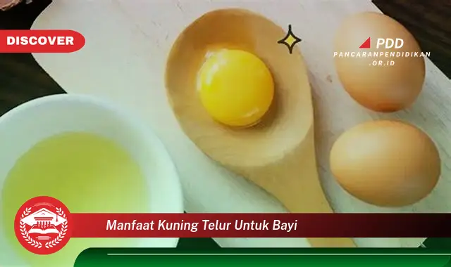 manfaat kuning telur untuk bayi