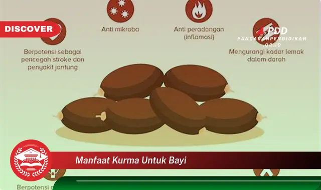 manfaat kurma untuk bayi