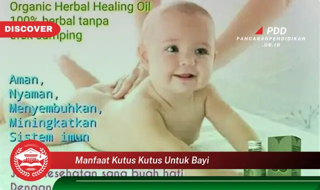 manfaat kutus kutus untuk bayi