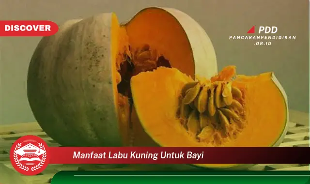 manfaat labu kuning untuk bayi