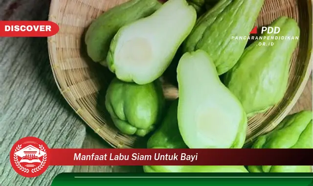 manfaat labu siam untuk bayi