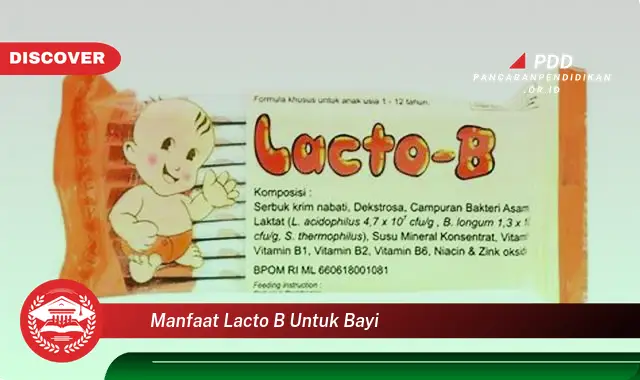 manfaat lacto b untuk bayi