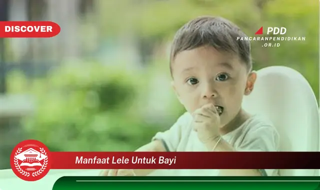 manfaat lele untuk bayi