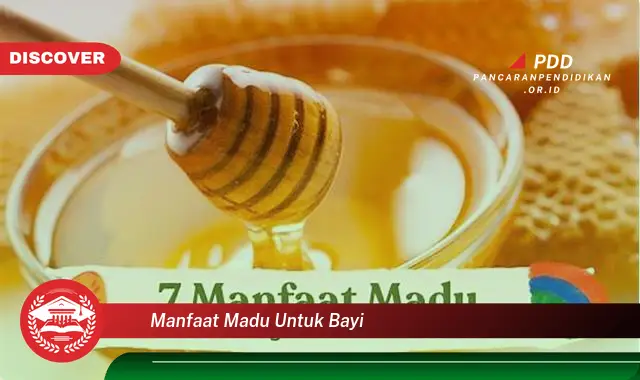 manfaat madu untuk bayi