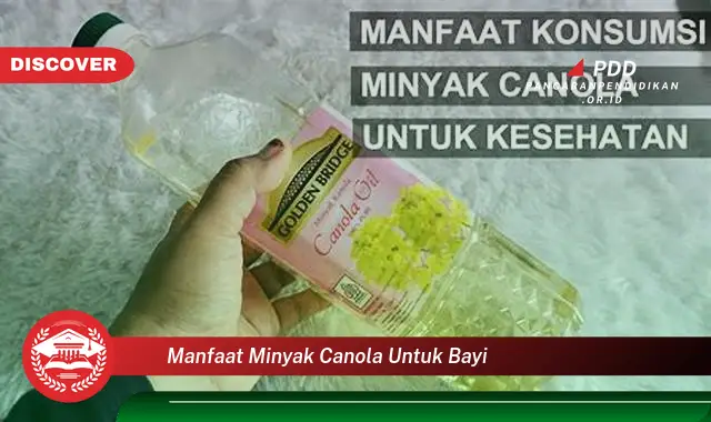 manfaat minyak canola untuk bayi