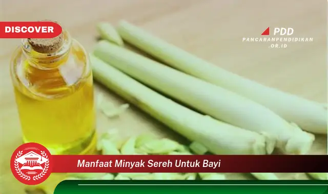 manfaat minyak sereh untuk bayi