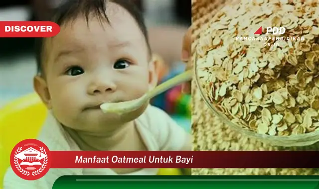 manfaat oatmeal untuk bayi