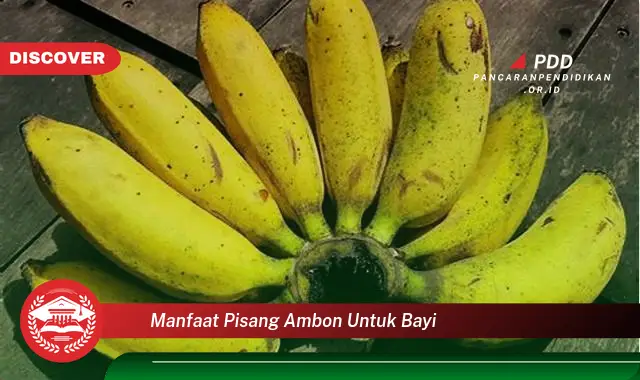 manfaat pisang ambon untuk bayi