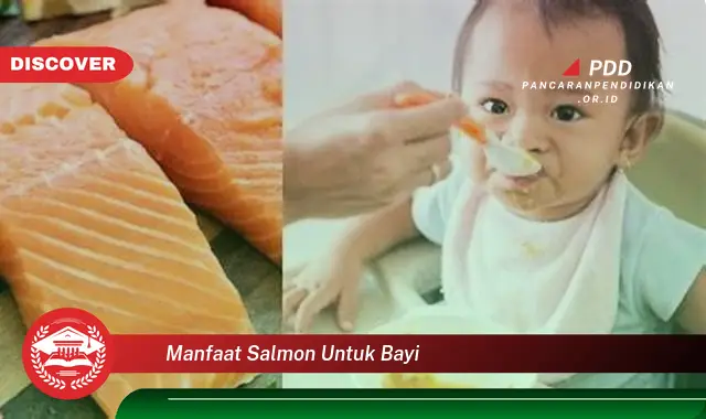 manfaat salmon untuk bayi