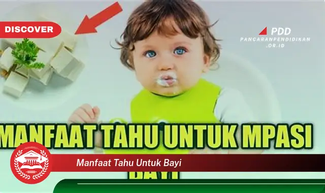 manfaat tahu untuk bayi