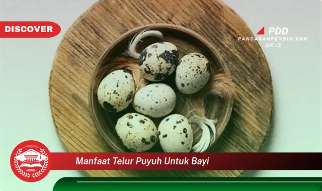 manfaat telur puyuh untuk bayi