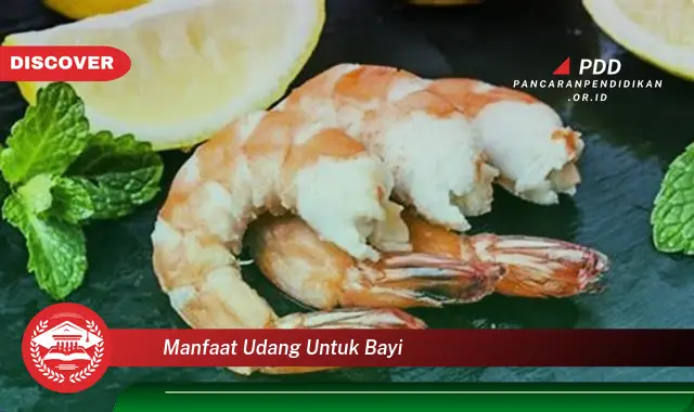 manfaat udang untuk bayi