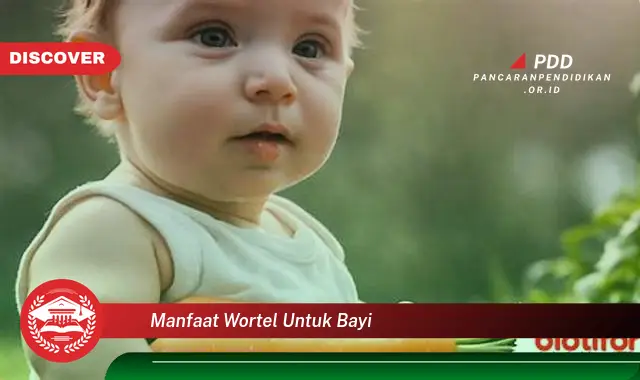 manfaat wortel untuk bayi