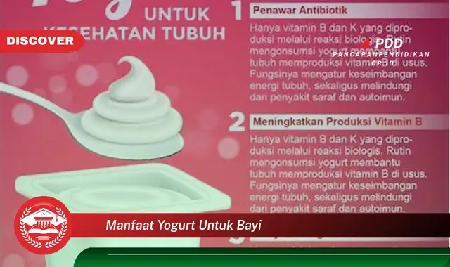 manfaat yogurt untuk bayi