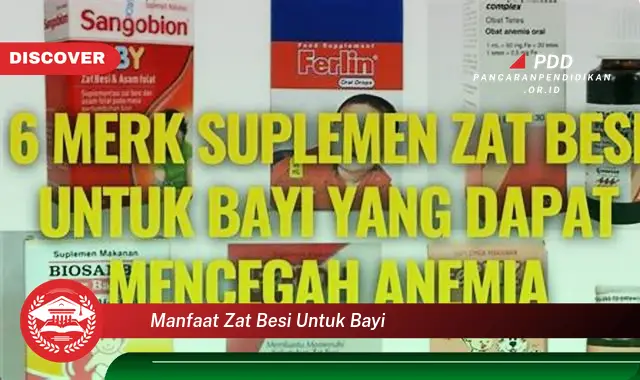 manfaat zat besi untuk bayi