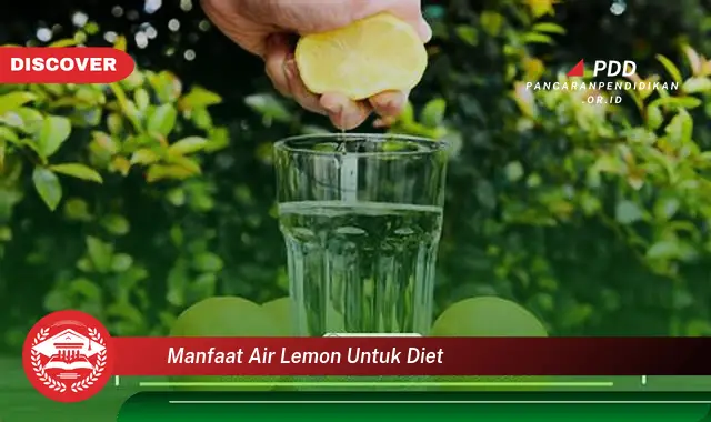 manfaat air lemon untuk diet