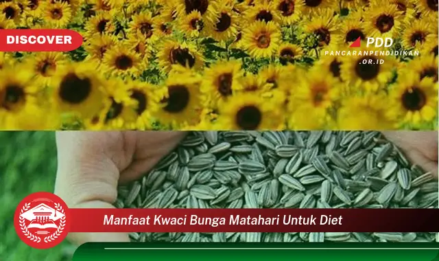 manfaat kwaci bunga matahari untuk diet