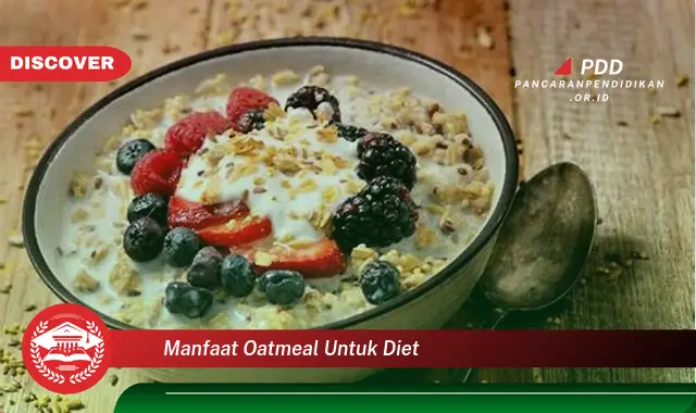 manfaat oatmeal untuk diet