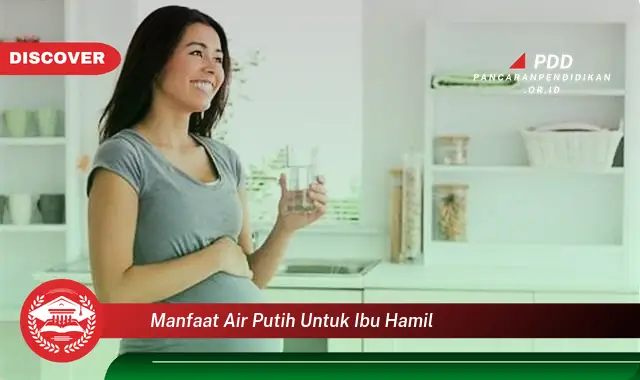 manfaat air putih untuk ibu hamil