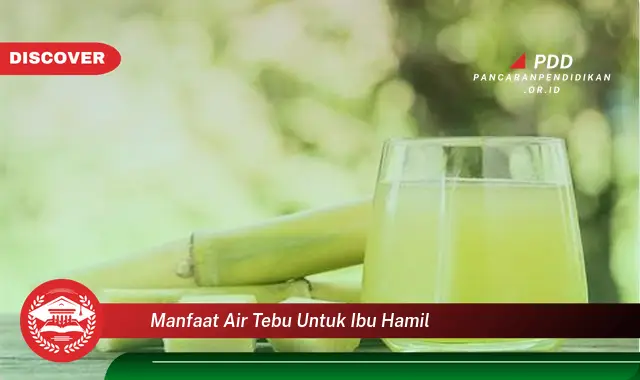 manfaat air tebu untuk ibu hamil