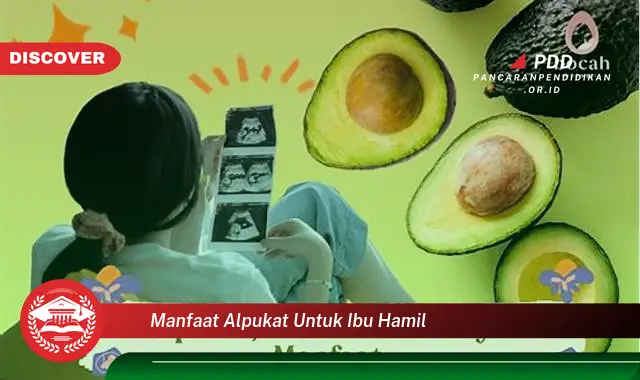 manfaat alpukat untuk ibu hamil