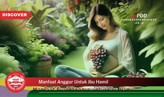 manfaat anggur untuk ibu hamil