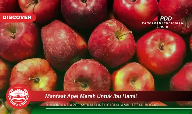 manfaat apel merah untuk ibu hamil