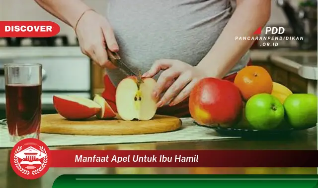 Temukan 10 Manfaat Apel Untuk Ibu Hamil yang Wajib Kamu Ketahui