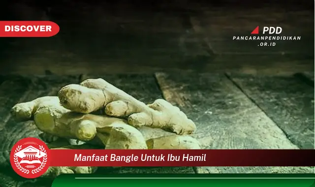 manfaat bangle untuk ibu hamil