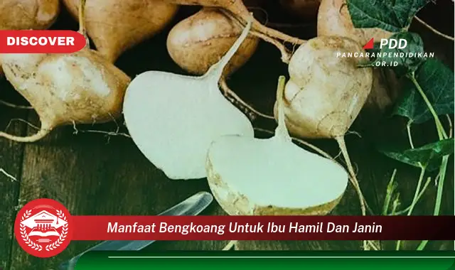 Ketahui 10 Manfaat Bengkoang untuk Ibu Hamil dan Janin yang Jarang Diketahui