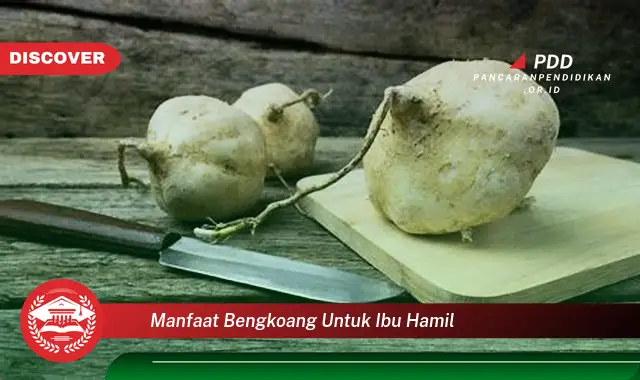 manfaat bengkoang untuk ibu hamil