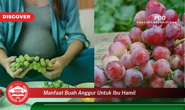 manfaat buah anggur untuk ibu hamil