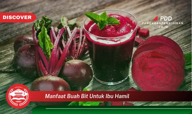 manfaat buah bit untuk ibu hamil