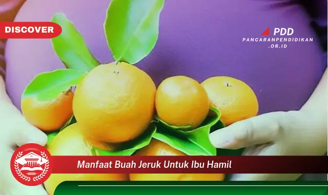 manfaat buah jeruk untuk ibu hamil