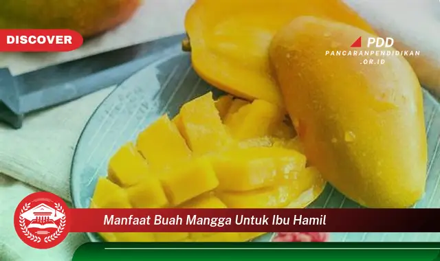 manfaat buah mangga untuk ibu hamil