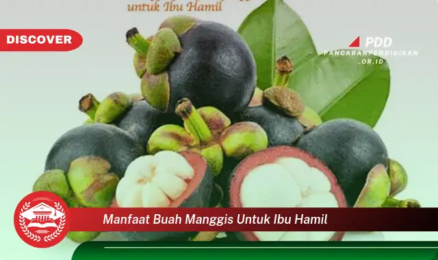 manfaat buah manggis untuk ibu hamil