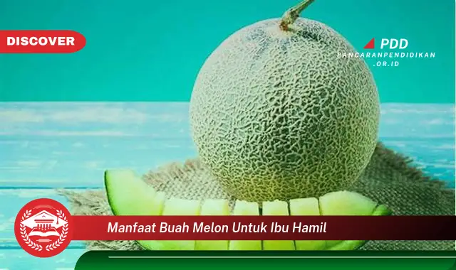 manfaat buah melon untuk ibu hamil