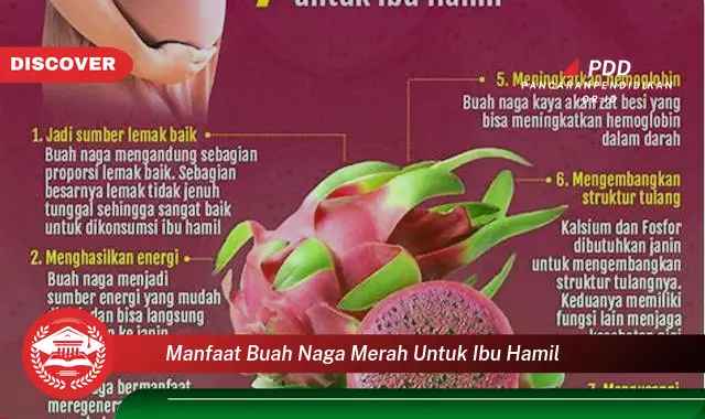 manfaat buah naga merah untuk ibu hamil